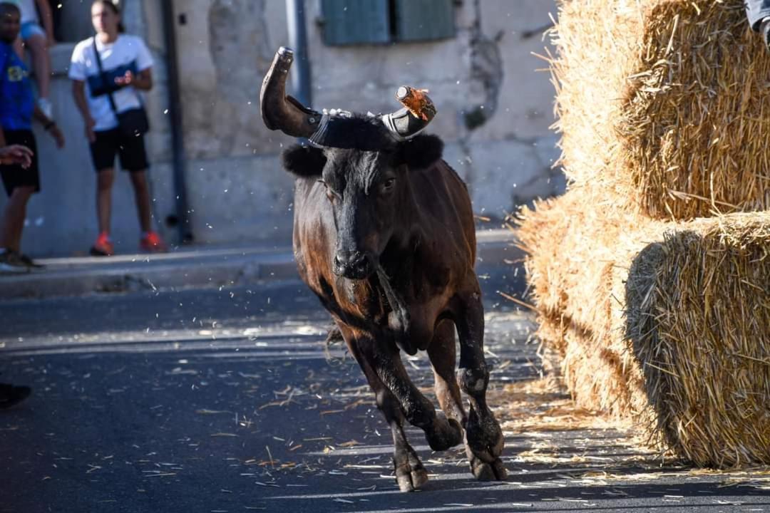 Location Gite En Provence ボーケール エクステリア 写真