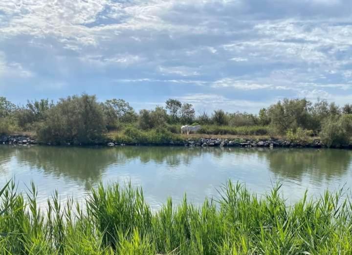 Location Gite En Provence ボーケール エクステリア 写真