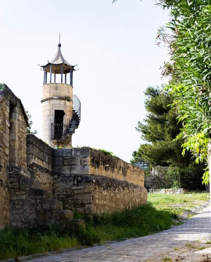 Location Gite En Provence ボーケール エクステリア 写真