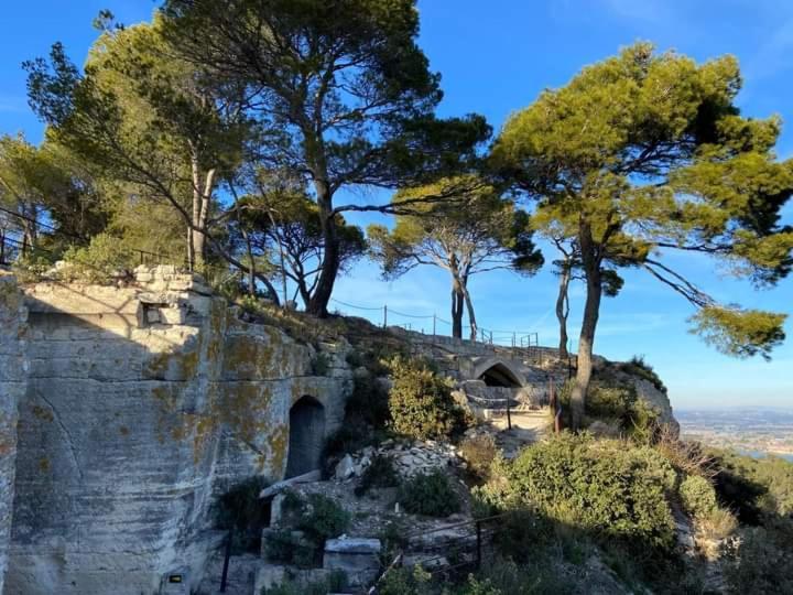 Location Gite En Provence ボーケール エクステリア 写真