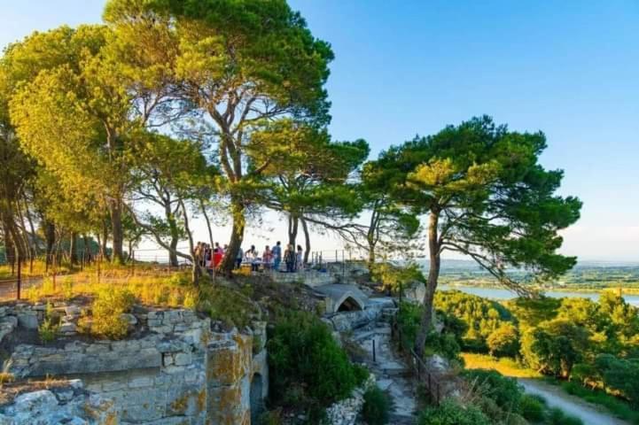 Location Gite En Provence ボーケール エクステリア 写真